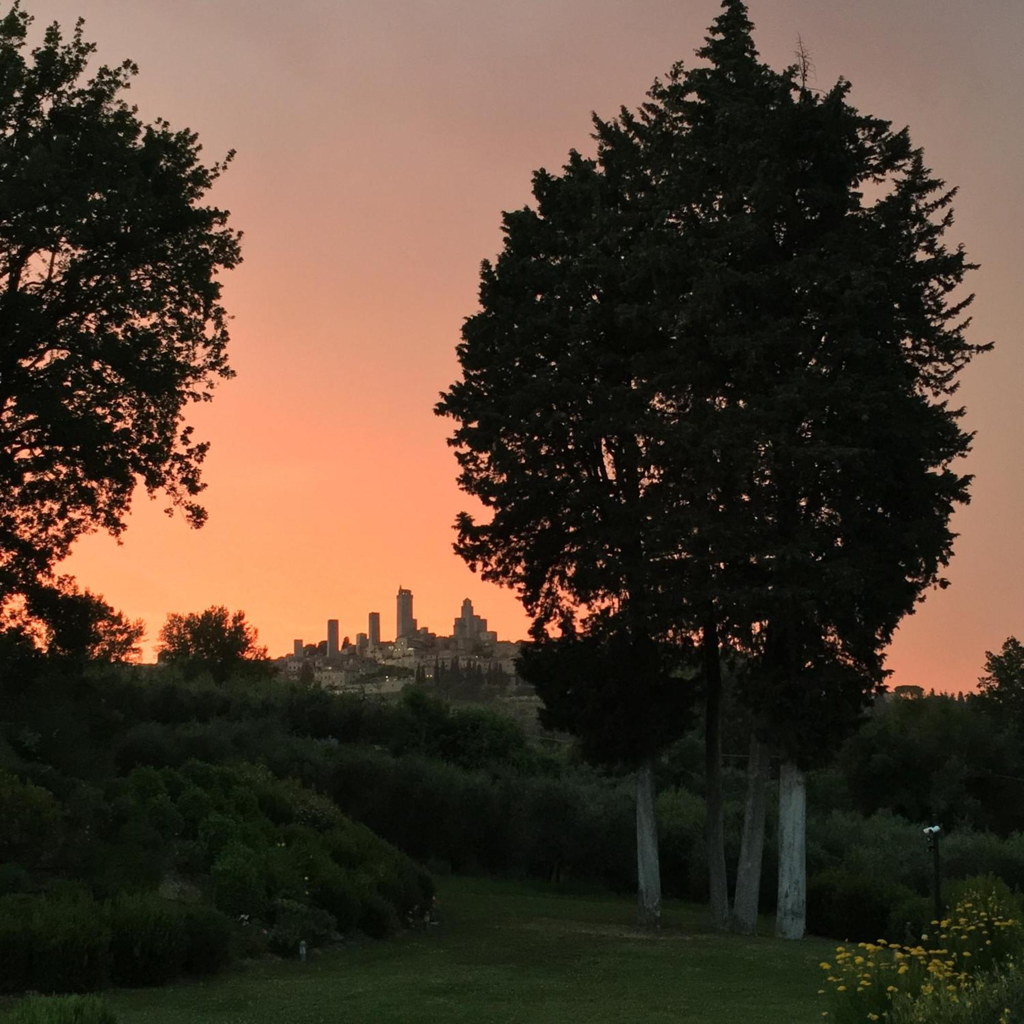 Tenuta Guardastelle - Agriturismo And Vineyard San Gimignano Exteriör bild